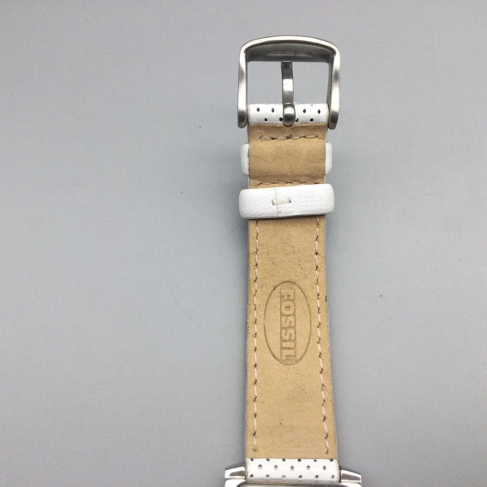 Fossil see photos